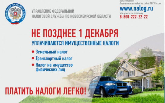 Платить налоги легко